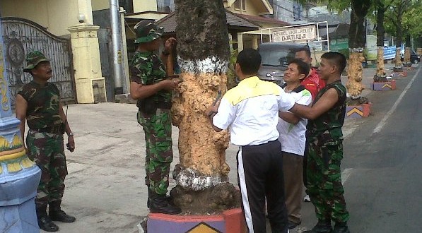 Sayangi Pohon Dengan Gerakan Cabut Paku